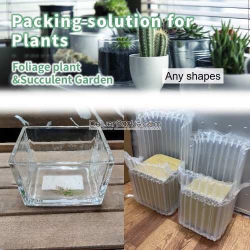 Packing solution for Plants